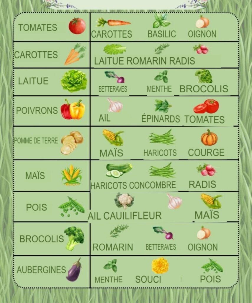 Compagnonnage des Légumes