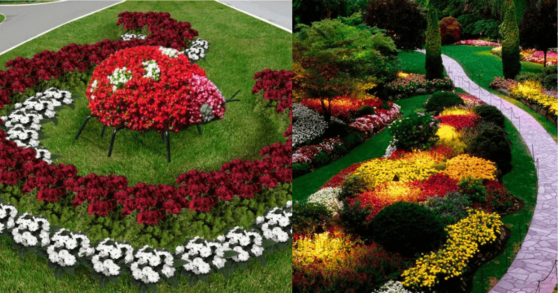 Parterre de Fleurs Parterre de Fleurs