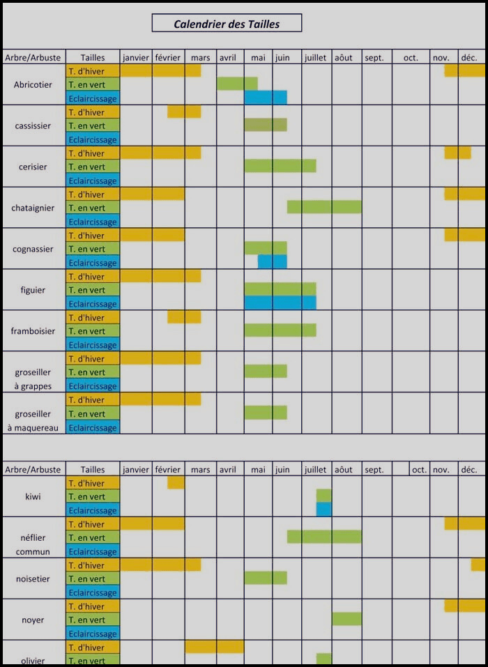 Calendrier des tailles des arbres indiquant les périodes idéales pour élaguer et entretenir différentes espèces tout au long de l'année.