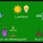 tableau des carences des plantes