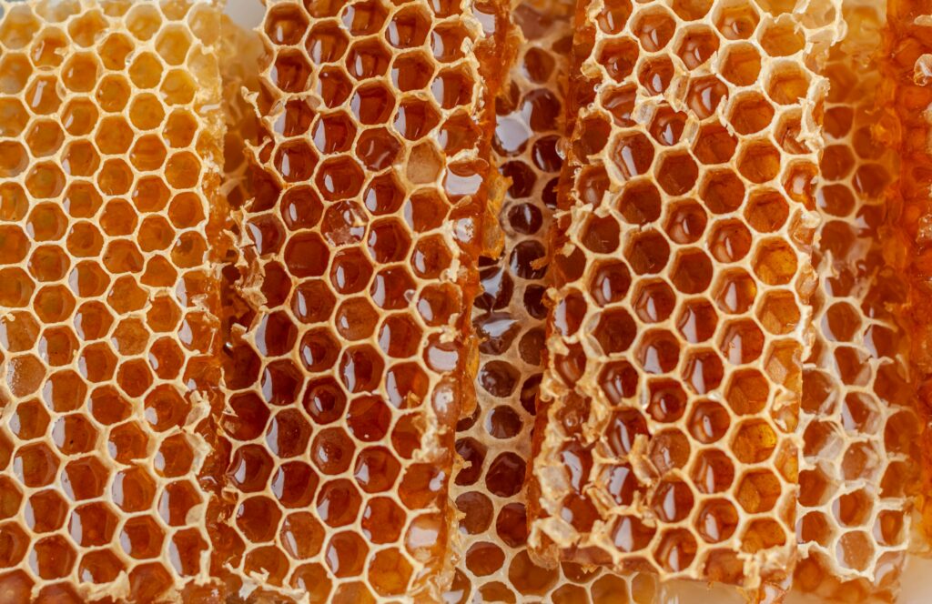 bienfaits du miel Les Bienfaits du Miel