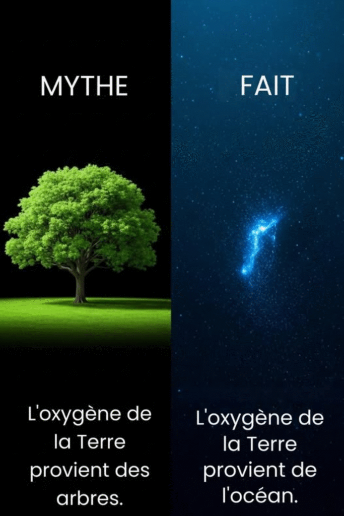 poumons poumons