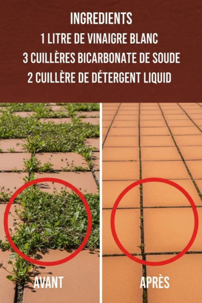 désherbant Désherbant