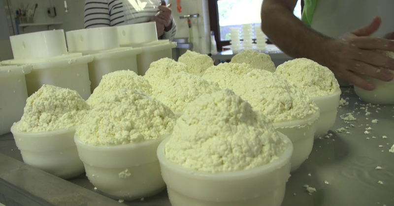 fromage fromage
