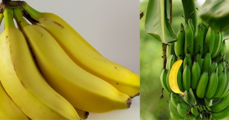 banane